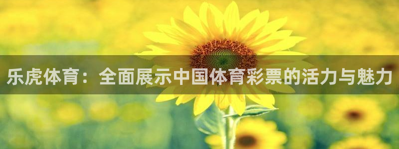 乐虎体育：全面展示中国体育彩票的活力与魅力